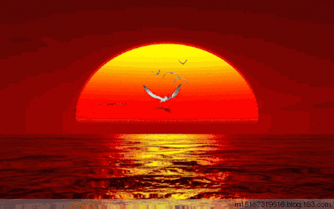 500_313gif 动态图 动图