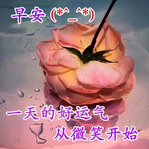 唯美的早安祝福语图片表情合集 秋天群发暖心早安早上