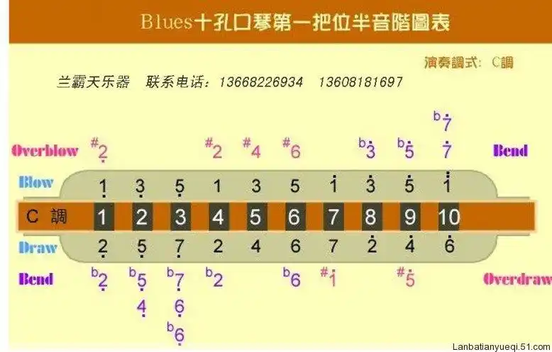 钻石卖家正品天鹅布鲁斯口琴10孔口琴(带简易教程)实体店