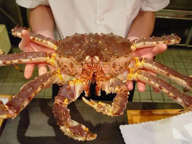 澳大利亚进口帝皇蟹|东莞报关公司|进口代理公司