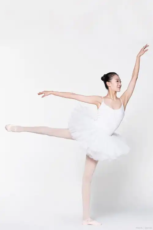 芭蕾舞的基本动作