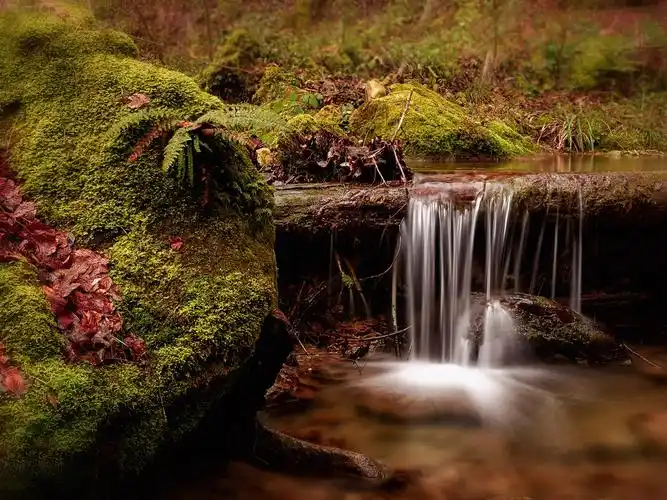 瑞士,流,瀑布,苔藓,自然 壁纸 - 1600x1200