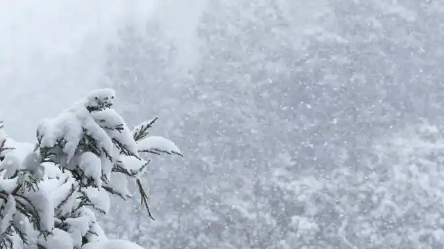 4k大雪纷飞视频素材