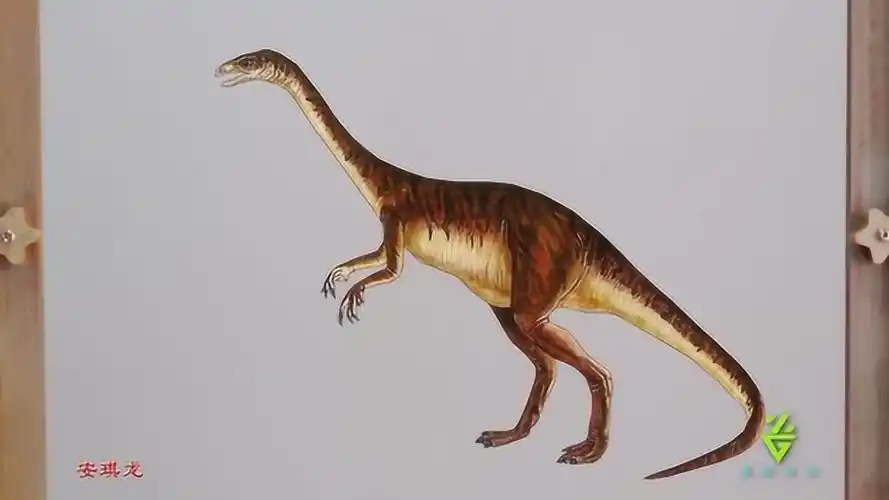 恐龙百科——安琪龙