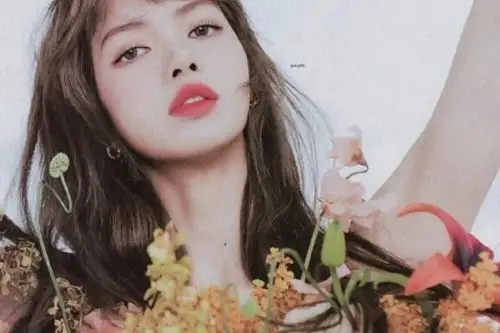 仙气壁纸 | lisa小可爱