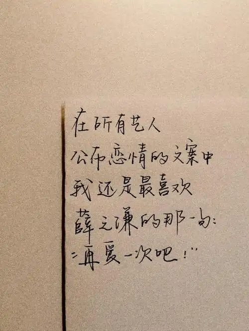 正能量追星文案