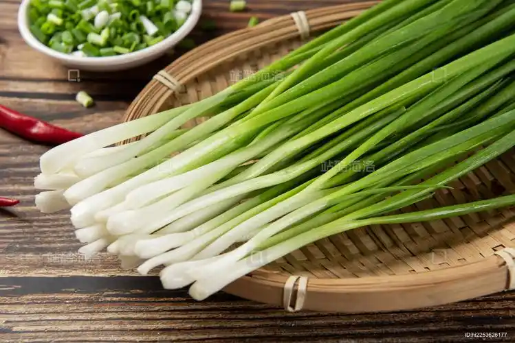 站酷海洛_正版图片_视频_字体_音乐素材交易平台