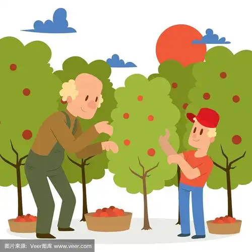 日落的碧桂园景观.