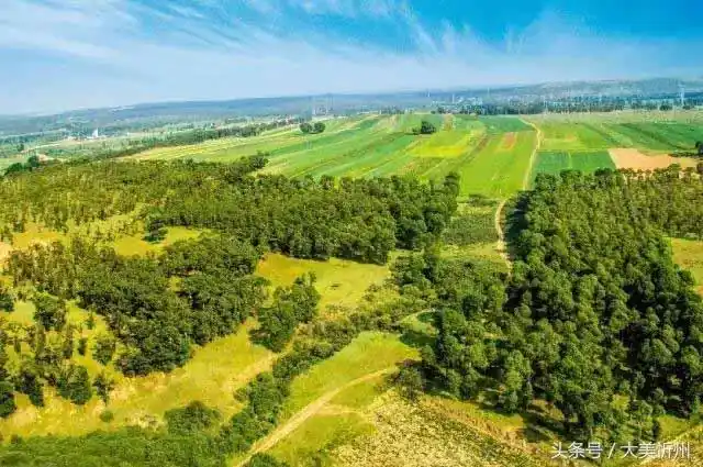 山西旅游绿色王国右玉