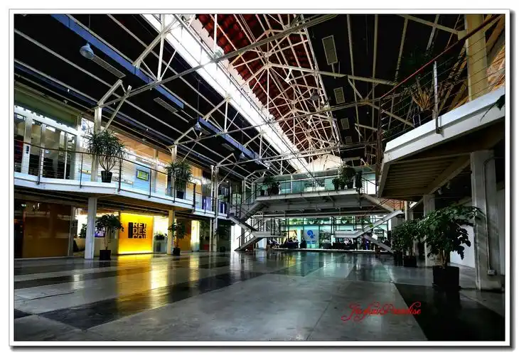 例如:上海十大创意园区之一,红极一时的红坊,已经荒芜了