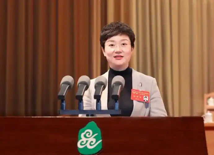 市长陈丽艳代表市人民政府向大会作工作报告.