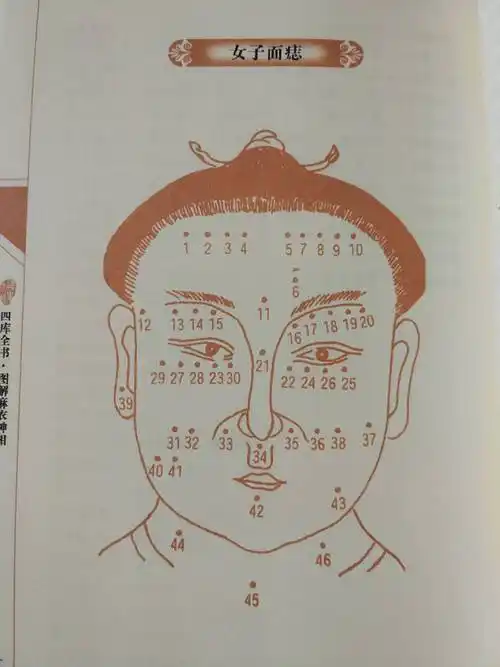 图解麻衣神相书籍麻衣道者金志手面相书籍正版包邮