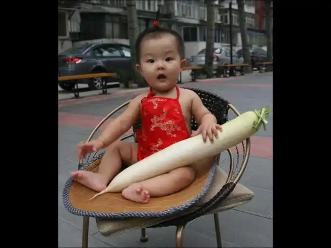 【人参娃娃】 第 1 幅