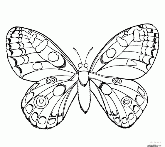 漂亮的蝴蝶怎么画