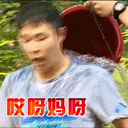 我们的法则gif小沈阳gif哎呀妈呀gif表情包gif