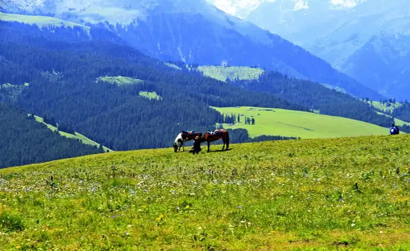 西疆之行系列之(十三)——喀拉峻大草原