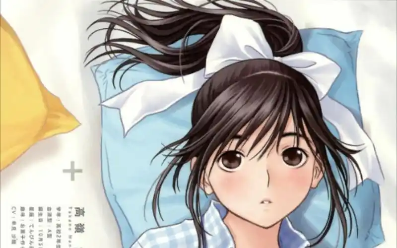 爱相随  高玲爱花表白