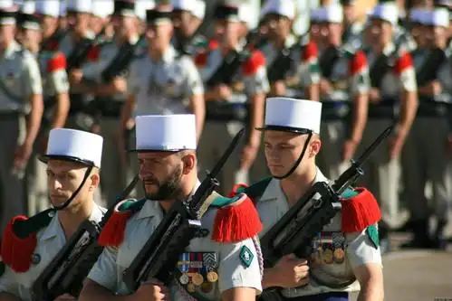 战龙在野法国外籍军团