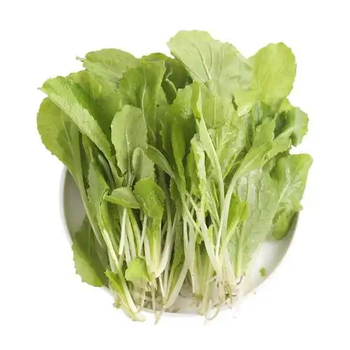 gap基地·小白菜苗/400g【行情 报价 价格 评测 特价 折扣】-本来生活