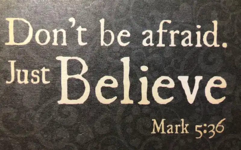 许魏洲junkjournalmark536不要怕只要信