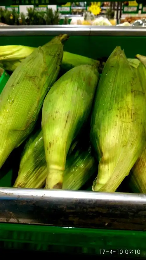 水果玉米2.70元/一穗