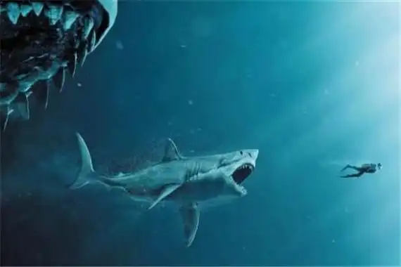巨齿鲨vs大王乌贼巨齿鲨更强实力相差无几