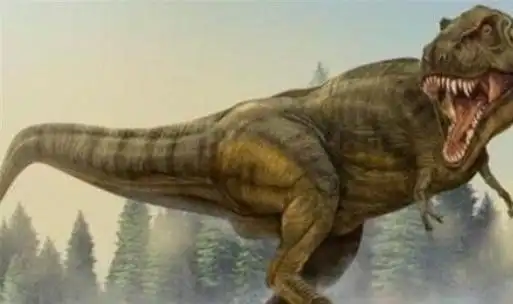 棘龙|异特|侏罗纪|暴龙属|暴龙超科|水生动物_网易订阅