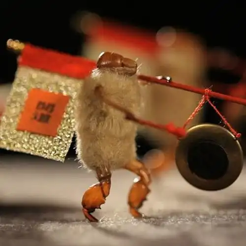 0205土生土长的北京毛猴