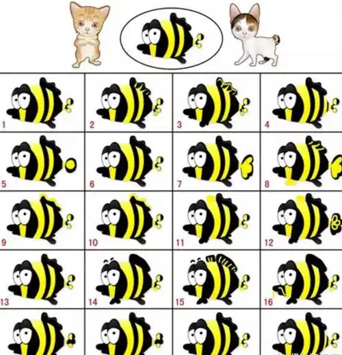 视觉分辨能力――找相同