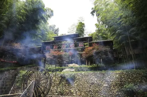 自驾游宁波天港洲际酒店浙东大竹海两天一晚双人自由行