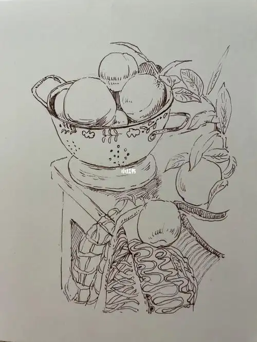 静物钢笔画速写
