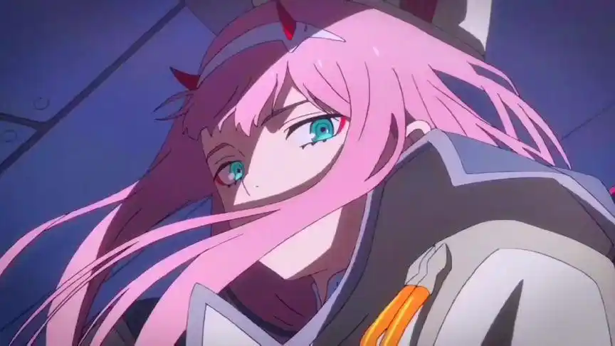 "鹤望兰无凋零之时,比翼鸟永世长存"#国家队02 #动漫