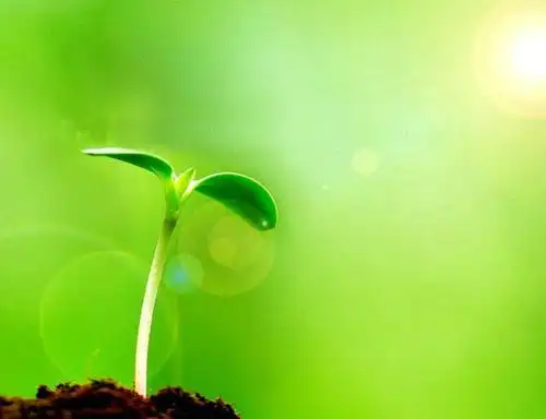 天地间来了个小小的我