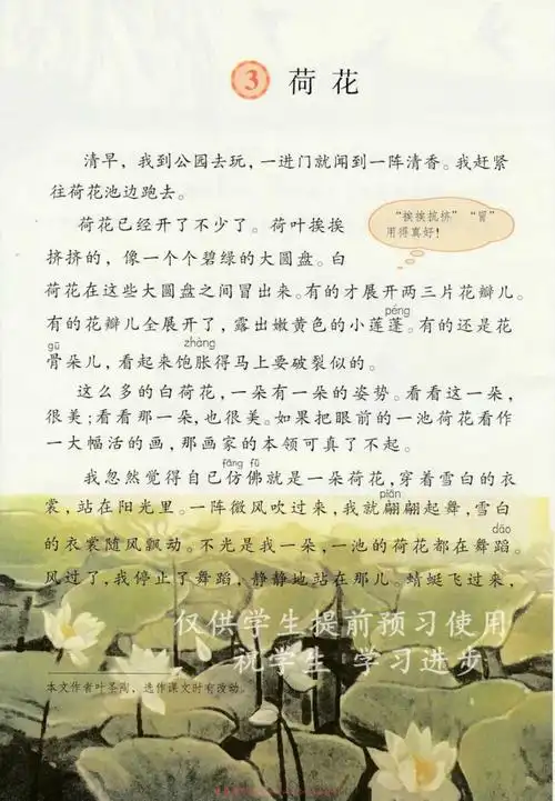 荷花在线阅读_部编版三年级语文下册书_好学电子课本网