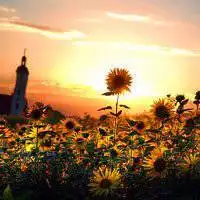 唯美日出太阳头像图片