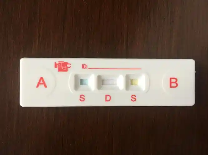 英科abo血型检测试纸 固相法 血型检测卡 简单准确配件齐全 血型检测