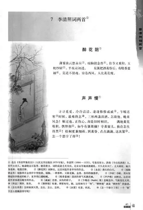 声声慢(寻寻觅觅)