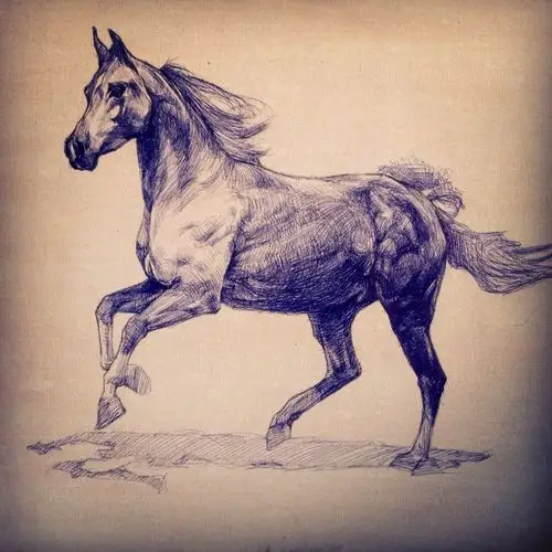 马 作品类别 素描 作品属性 原创 作品尺寸 50*60cm 创作时间 2014年