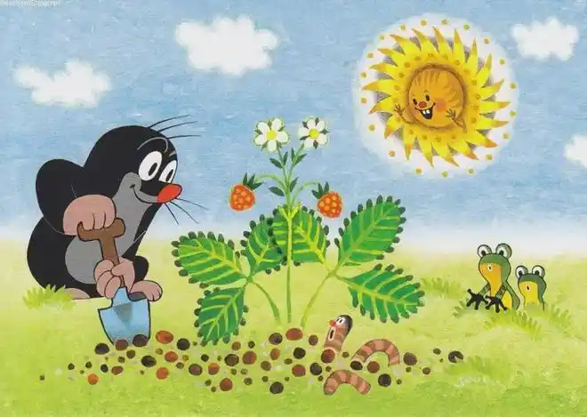 捷克动画代表作——《鼹鼠的故事》|小鼹鼠|动画片_网易订阅