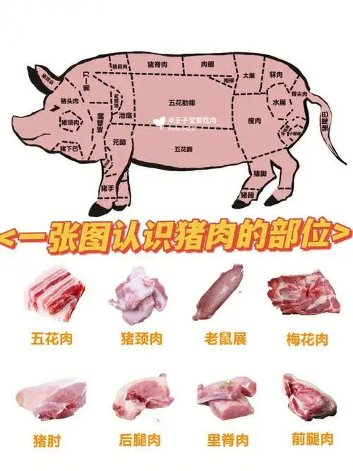 一张图教你认识猪肉各部位这几种肉最好吃