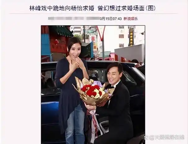 2004年,林峰凭借其出色的表演在武侠剧《大唐双龙传》中取得巨大成功