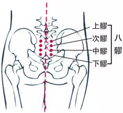 77天柱穴缓解腰骶部疼痛,坐骨神经痛,月经不调,小腹胀痛,妇科问题.