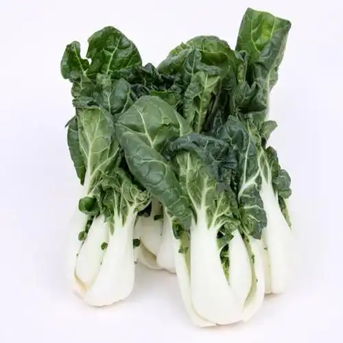 农聚源奶白菜1kg小白菜奶油白菜新鲜蔬菜as