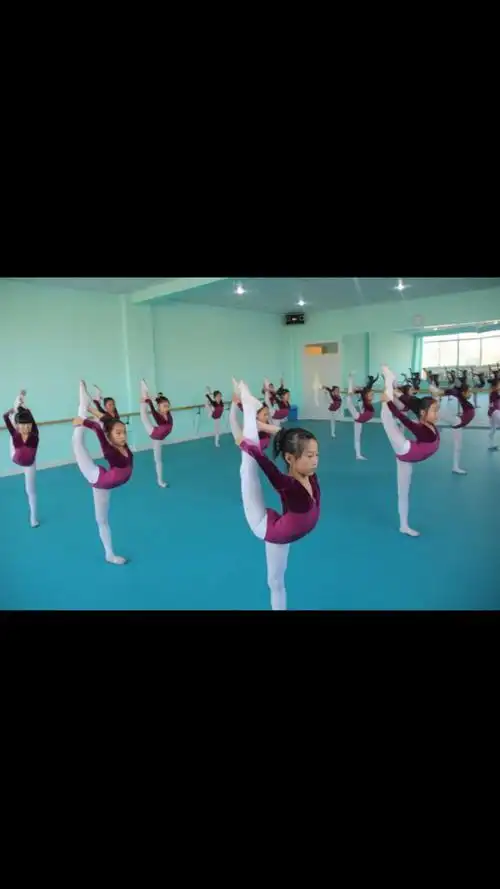 安老师(安朵拉艺术舞蹈学校)