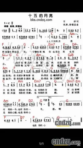 中国电子琴在线论坛