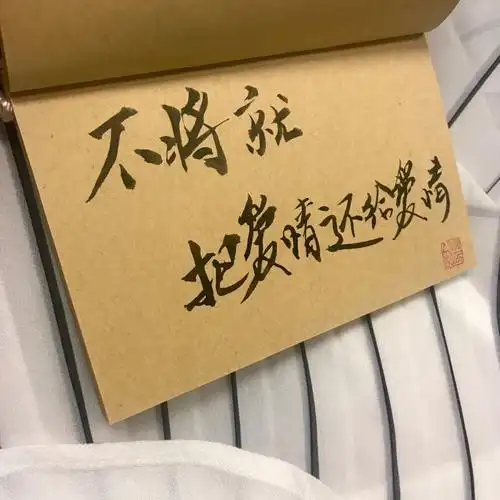 不将就