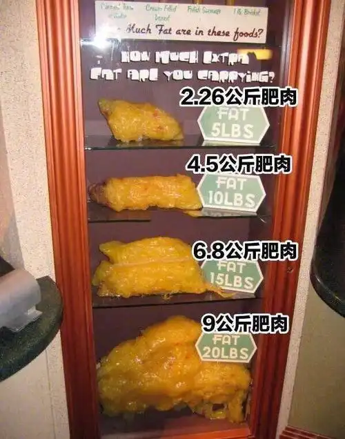 试想一下不同重量的肥肉长在自己身上是什么样的感受.