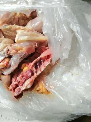 鸡肚子里有这种虫子正常吗还能吃吗