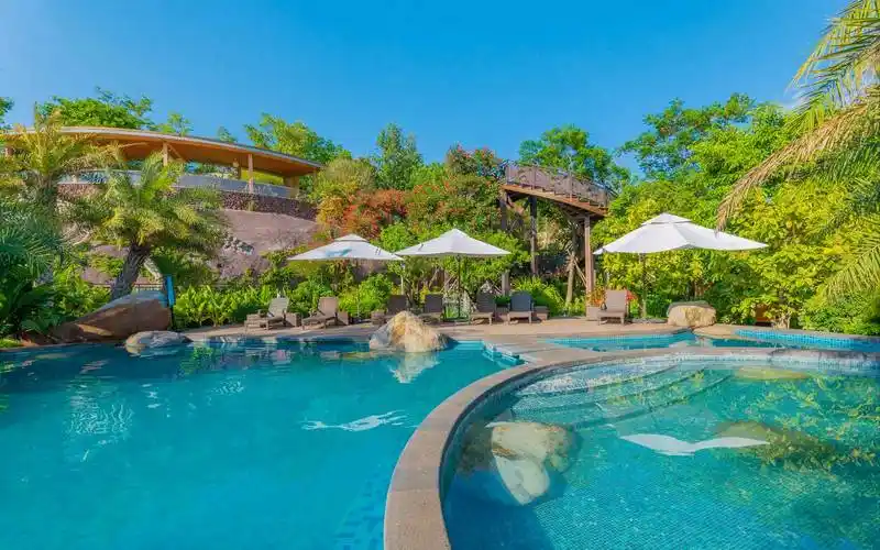 禄丰栖龙湾温泉套票,住真4星泡东南亚森林温泉玩世界恐龙谷; _ 交易区