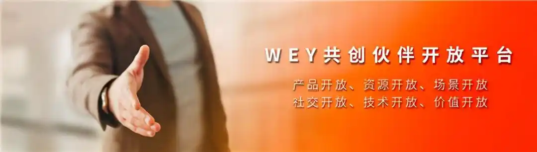 以互联网思维与用户共创wey的焕新之道